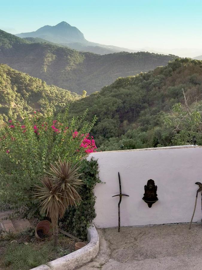 Naturaleza Y Arte En La Casa Del Molino Хеналхуасил Екстериор снимка